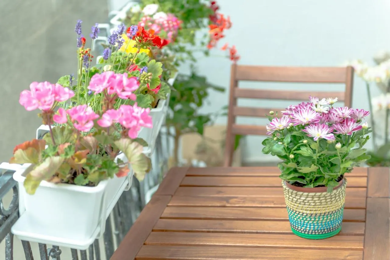 Bed & Breakfast Budapest Chinese Guesthouse Hungary
